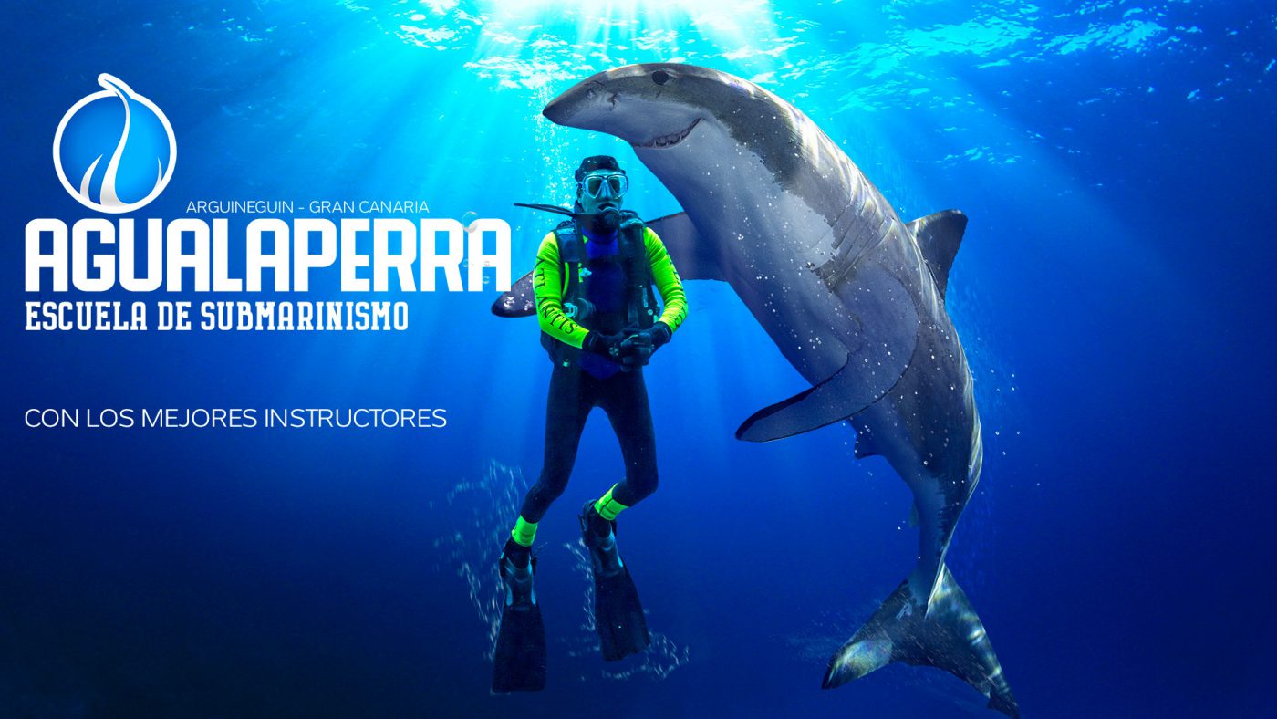 Nico Trujillo - Agencia de Publicidad